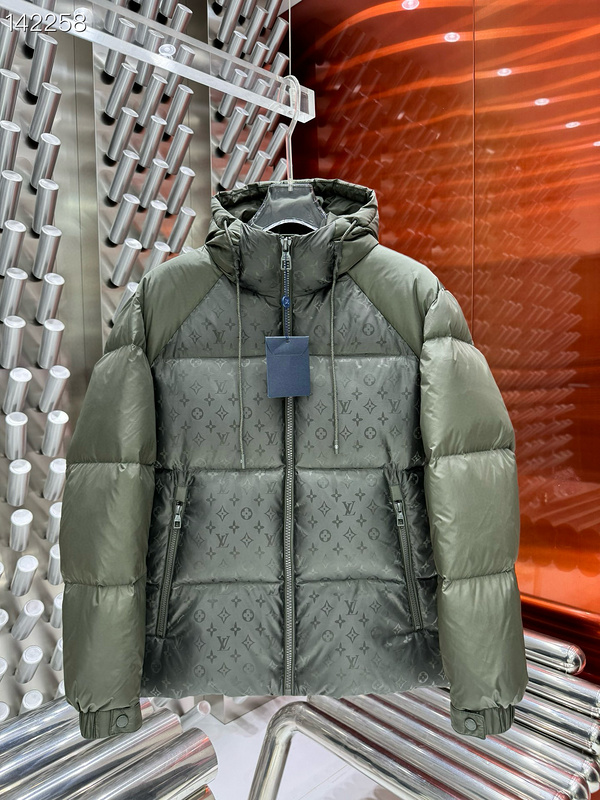 Louis Vuitton Down Jacket Mens ID:20241022-230